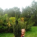 ���� ���������, ���������, 51 ��� - ��������� 1 ������ 2018 � ������ ���� ����������