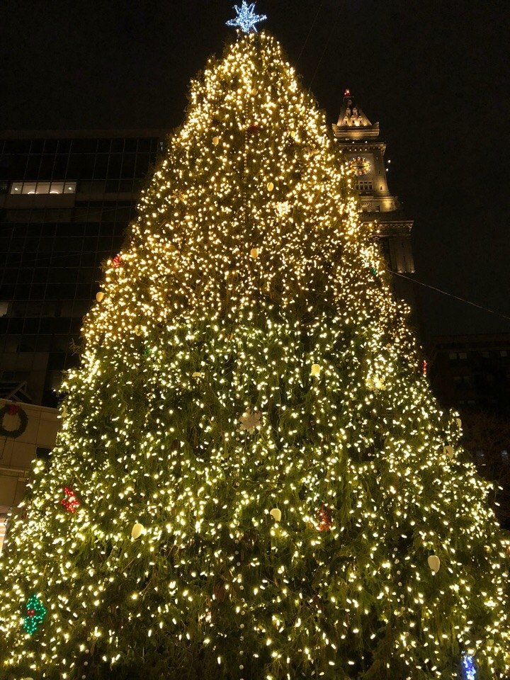 Boston, Massachusetts, USA. :   - 5