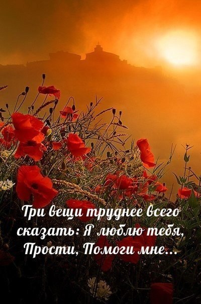   :