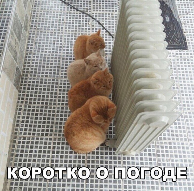  - 11  2019  17:32
