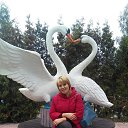 ���� �������, ������ �������� - ��������� 15 ������� 2018 � ������ ���� ����������