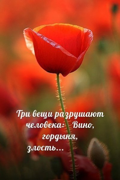   : - 2