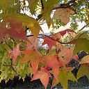  , , 66  -  14  2018   Ż