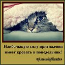 ���� �����, ����������� - ��������� 7 ������� 2019 � ������ ������ ��������
