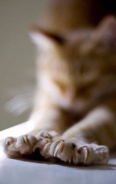 ...  ...  ,  .    .  , 