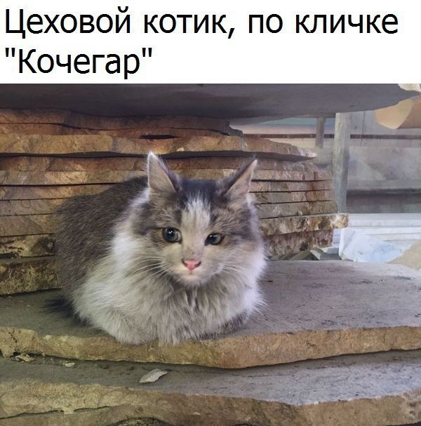  - 2  2018  14:56