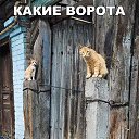 ���� ��������, ����� �������� - ��������� 24 ������ 2018 � ������ ���� ����������