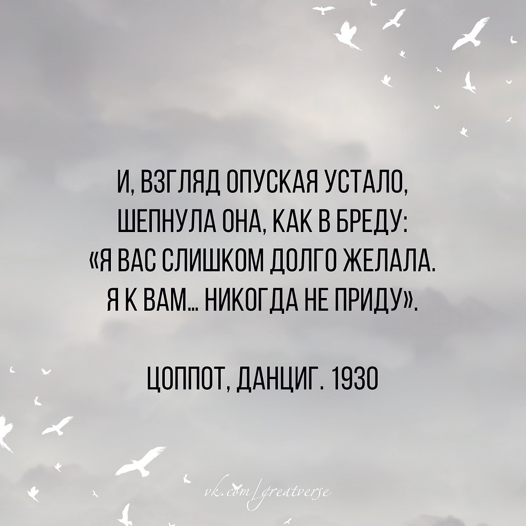 Милое создание устало бредет по пляжу