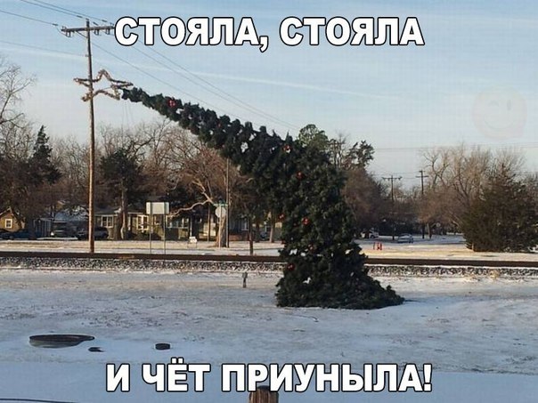   - 14  2019  16:33