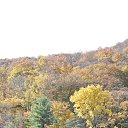 ���� Igor, ��� ����, 62 ���� - ��������� 7 ������ 2018 � ������ �Bear Mountain�