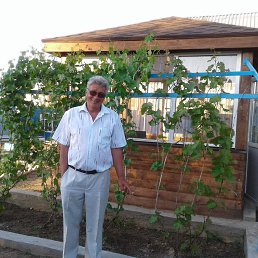 Sergei, , 64 