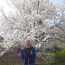 ���� ������, ��������, 51 ��� - ��������� 28 ������ 2018 � ������ ���� ����������