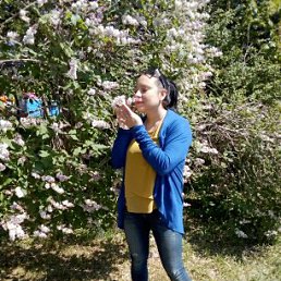 ���, �����������-��-�����, 43 ����