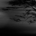 ���� ���������, �����-���������, 40 ��� - ��������� 13 ������ 2018