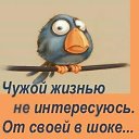 ���� �0, �����-���������, 64 ���� - ��������� 23 ����� 2019 � ������ ���� ����������