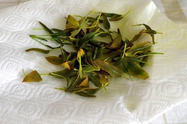   .:   60    1,5    ... - 5