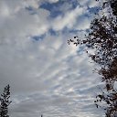 ���� �����, �������� - ��������� 13 �������� 2018 � ������ ������ ��������