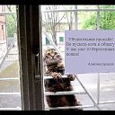 ���� �����, �����������, 58 ��� - ��������� 18 ���� 2018 � ������ ������ ��������