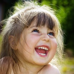 �����, �������, 25 ���