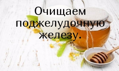 Поджелудочная железа - орган смешанной секреции, расположенный в брюшной полости слева под желудком. ...