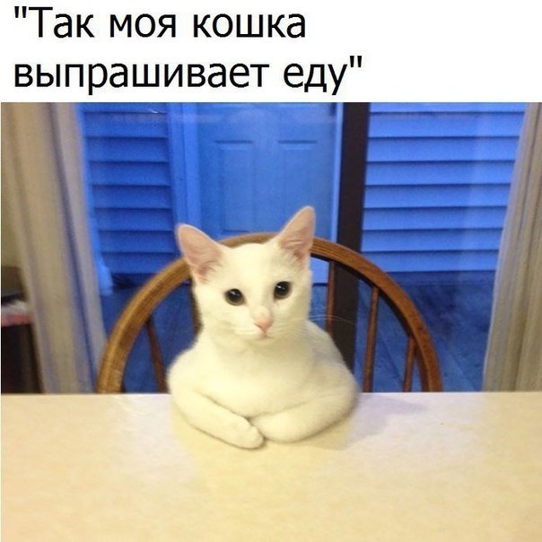    - 14  2019  16:47