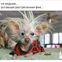 ���� Elena, ������ - ��������� 12 ������� 2018 � ������ ���� ����������