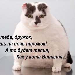 ���� ����������, ������ - ��������� 26 ������� 2019
