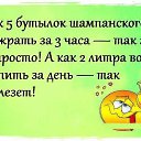  , , 49  -  5  2019   ...  )