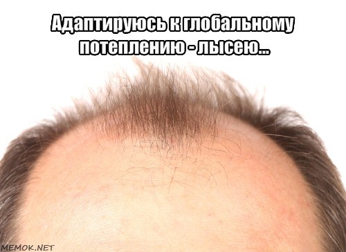   - 5  2018  11:42