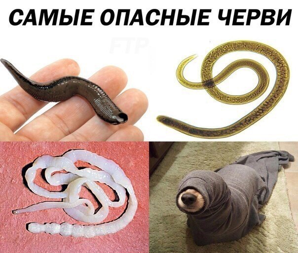    :D - 6  2019  16:32