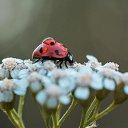 ���� �����, �������, 37 ��� - ��������� 21 �������� 2018 � ������ ���� ����������