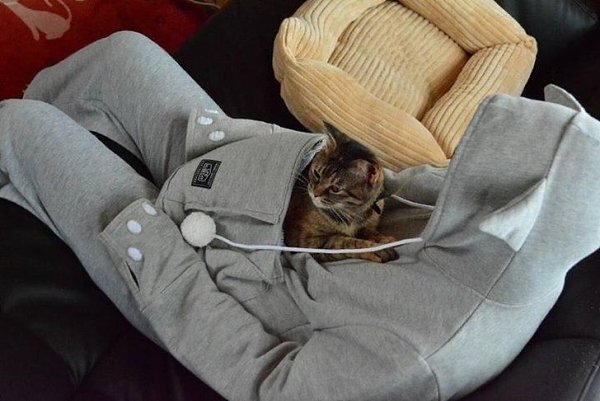В кенгуруподобном худи вы можете не расставаться со своим котом.Японская компания Unihabitat, ...