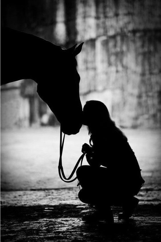 .................     -  ............    Ĩ  ...