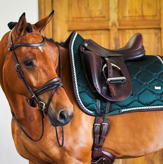  -   ! - 23  2018  16:26