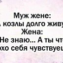 ���� ���������, ������, 66 ��� - ��������� 19 ����� 2019