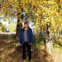 ���������, ������������, 43 ����