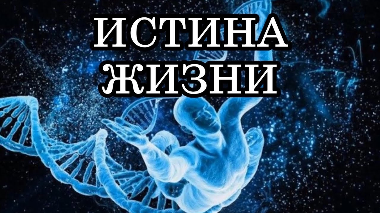 Истины, которых необходимо придерживаться.1. Верни все вещи, которые взял у других.2. Делай больше, ...