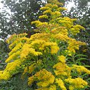 ���� ����, ������, 73 ���� - ��������� 13 ������ 2019 � ������ ���� ����������