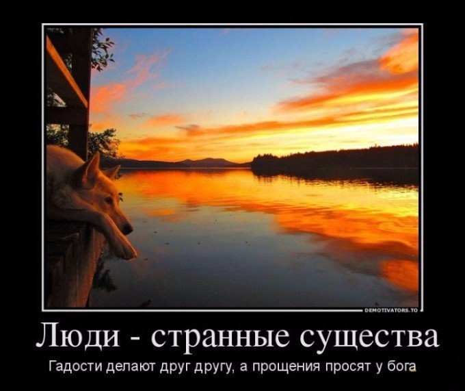   - 24  2018  17:20