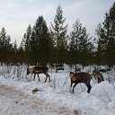 ���� Fedor, ������ - ��������� 14 ������� 2018 � ������ ���� ����������