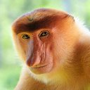 ���� ������, ���������, 32 ���� - ��������� 23 ������ 2019 � ������ ���� ����������