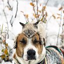  Nata Li,  -  4  2019    