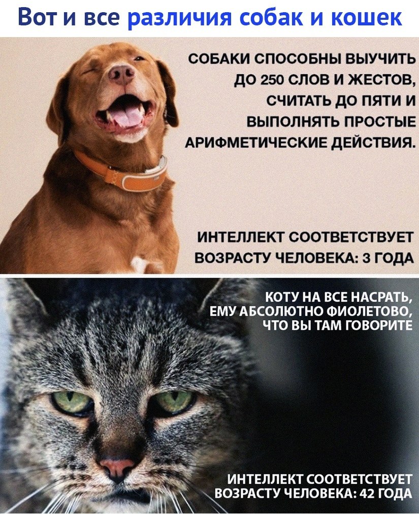  - 22  2019  18:37