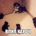 ���� ������, ������������ - ��������� 27 ����� 2019 � ������ �*������ � �����*, ��������, �����, ���������, ��������.�