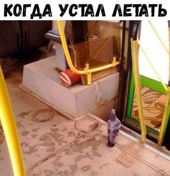    :D - 15  2018  17:10