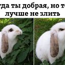 ���� Karina), ���� - ��������� 5 ������� 2018 � ������ ������ ��������