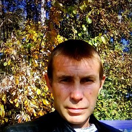 �����, �������, 43 ����