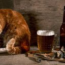 ���� ����, ����������� - ��������� 6 ������� 2018