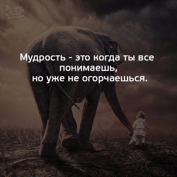     - 19  2018  16:49