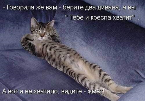    - 27  2019  03:42